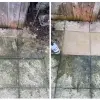 Algae remover & Black spot Remover, Birmingham
