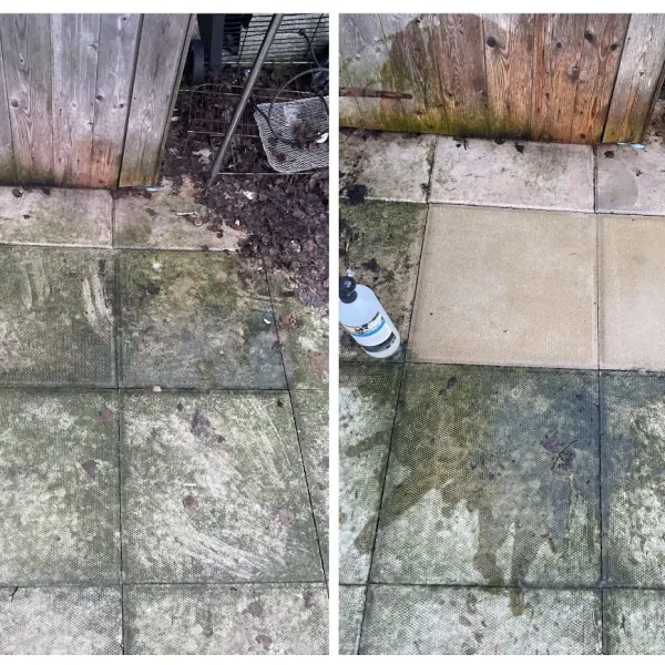 Algae remover & Black spot Remover, Birmingham
