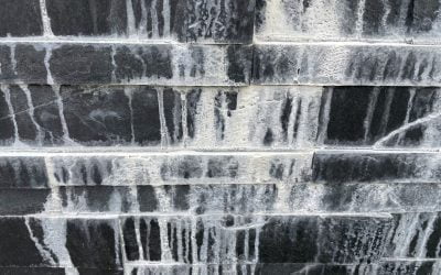 How to Identify Efflorescence?